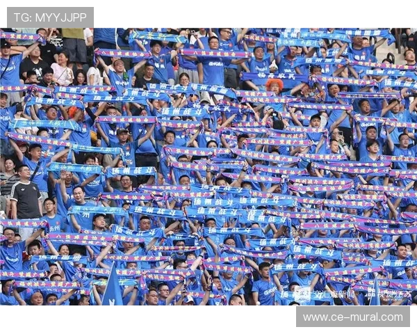 河南队严正回应成都球迷恶意侮辱:喷涂脏话、亵渎足球文化(2) 河南队严正回应成都球迷恶意侮辱:喷涂脏话、亵渎足球文化(2)